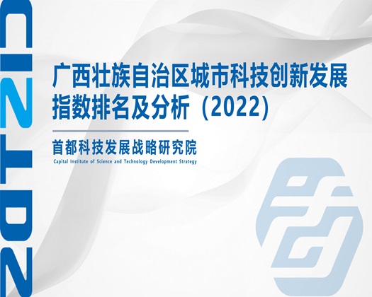 我要看免费操逼片【成果发布】广西壮族自治区城市科技创新发展指数排名及分析（2022）